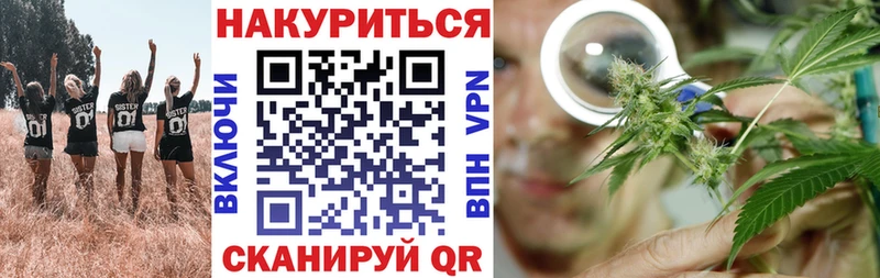 Где купить Черняховск A-PVP  Псилоцибиновые грибы  АМФЕТАМИН  COCAIN  Канабис 