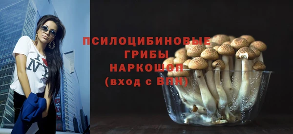 сатива Арсеньев