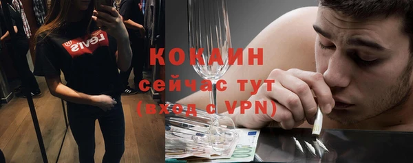 сатива Арсеньев