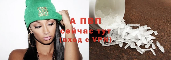 сатива Арсеньев