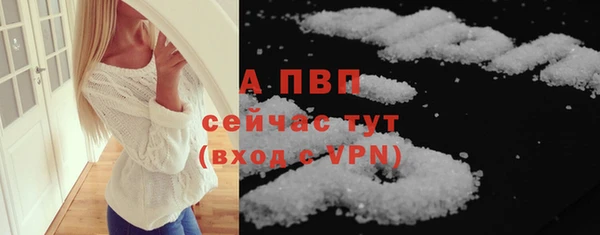 сатива Арсеньев