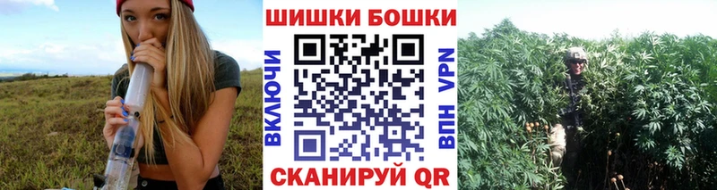 Бошки марихуана THC 21%  Черняховск 
